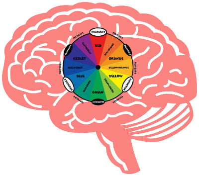 The Neuroscience of Color